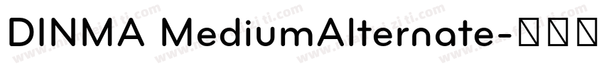 DINMA MediumAlternate字体转换